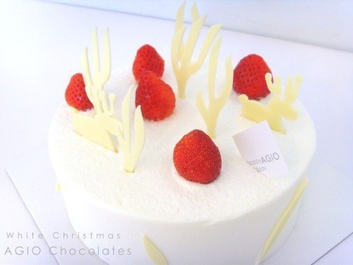 [18143_1334551406848_1322966062_962379_7529578_n[3].jpg]